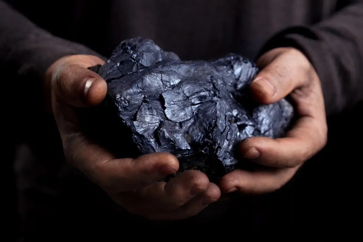 Hands holding a large piece of coal